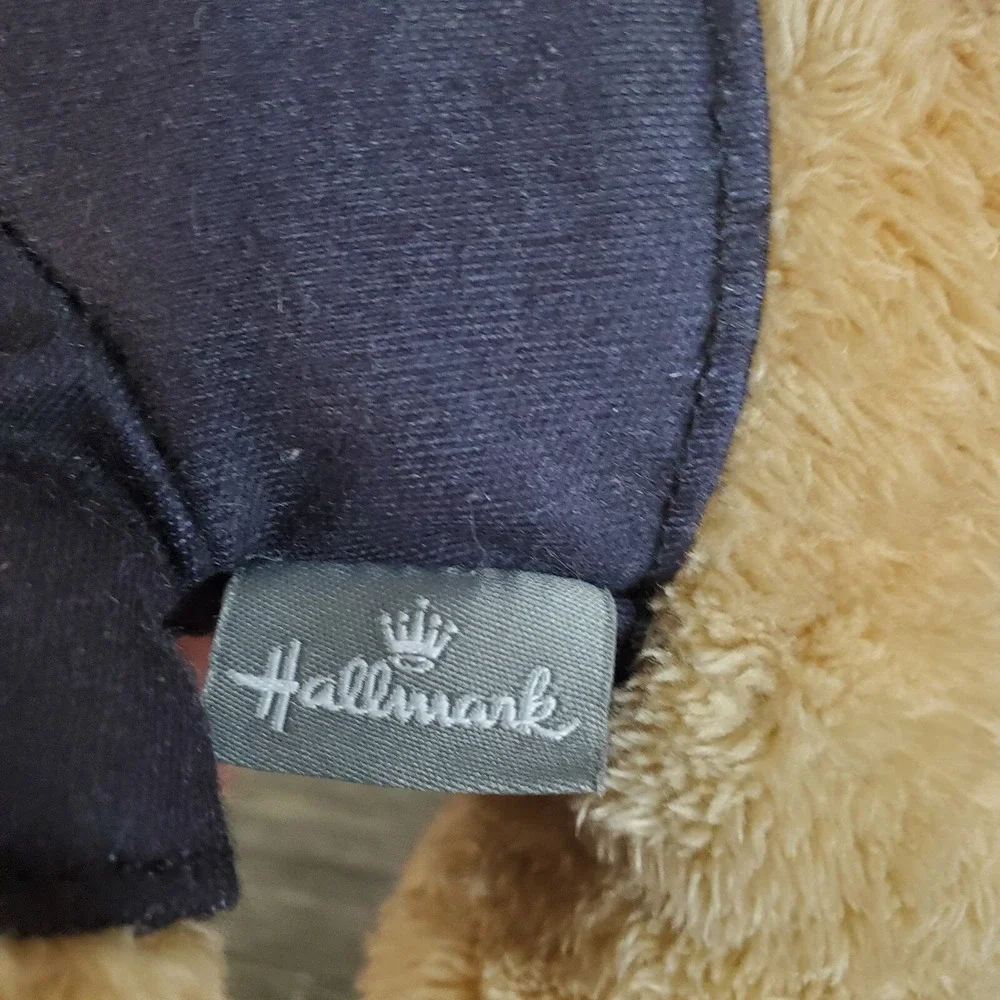Hallmark Trick-or-Treat Brown Teddy Bear 8